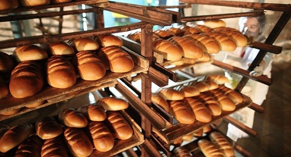 Mở lò bánh mì là hướng đi được nhiều người lựa chọn