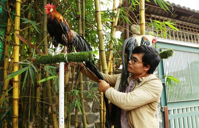 nhung san pham gia chuc trieu van chay hang tet dinh dau 1