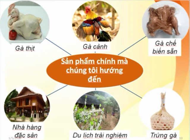 Các đầu ra của dự án khởi nghiệp Gà Cáy Con
