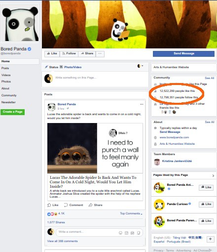 Phong cách vui vẻ đã giúp Bored Panda trở thành một trong những địa chỉ hấp dẫn nhất trên Facebook và thu hút hàng triệu lượt độc giả. Thống kê tới ngày 3/12/2017, facebook Bored Panda có hơn 12,5 triệu lượt like và share