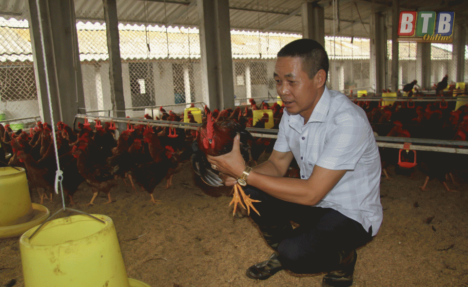 Ông Hoàng Công Điền, chủ trang trại gà Điền Liễu với giấc mơ xây dựng thương hiệu riêng.