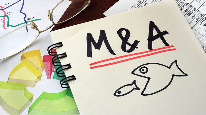 Để đẩy nhanh tốc độ tăng trưởng, các startup cần tích cực M&A trong hệ sinh thái khởi nghiệp. Ảnh: Internet