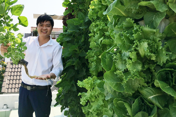 Phạm Văn Minh bên giàn rau thủy canh sử dụng viên nén ươm hạt làm giá thể. Ảnh: NVCC.