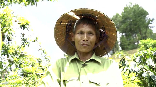 Lão nông Ngô Việt Hùng tại vườn mận - cà phê. Ảnh: Bizmedia