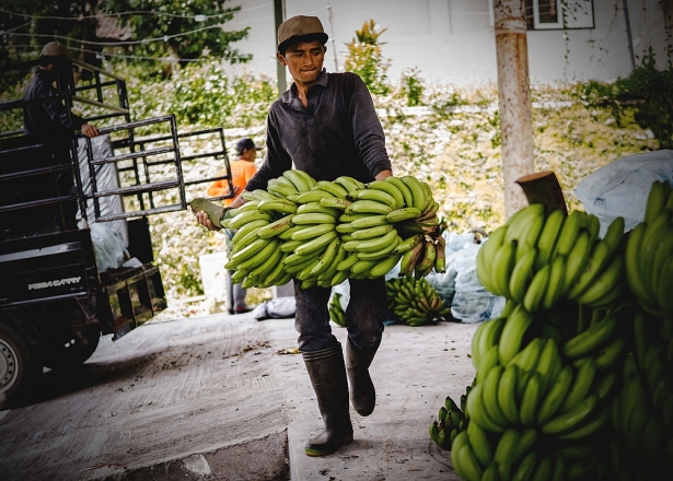 Startup châu Á khát vốn đầu tư nước ngoài startup chau a trong con khat von dau tu nuoc ngoai