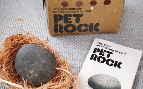 Phụ huynh đau đầu việc nu&#244;i th&#250; cưng của con trẻ? Đ&#227; c&#243; &quot;th&#250; cưng đ&#225;&quot; Pet Rock, kh&#244;ng cần đồ ăn, khỏi lo dọn ph&#226;n: Case study b&#225;n h&#224;ng kinh điển nhất của thế kỷ 20
