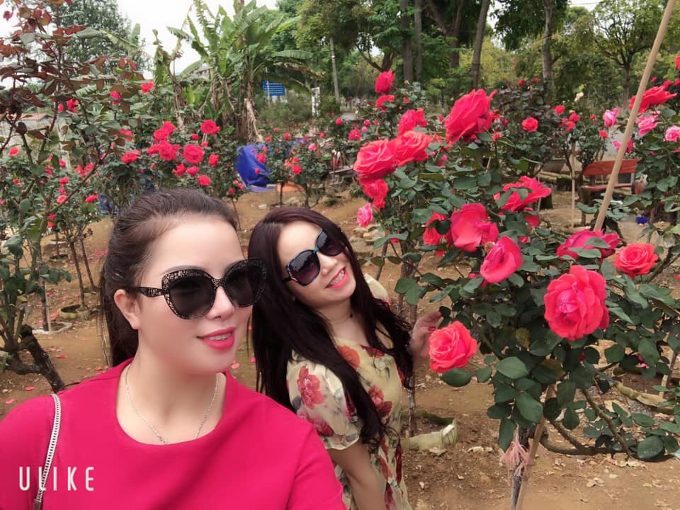 Vườn hồng nhà anh Khương thu hút nhiều khách đến tham quan, chụp ảnh.