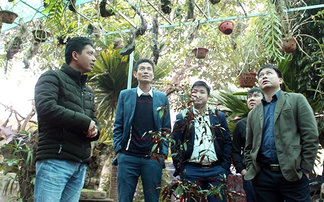 Anh Ngô Quang Tuấn (ngoài cùng bên trái) đón đoàn kiểm tra của Tỉnh đoàn Bắc Giang khảo sát mô hình khởi nghiệp trồng lan rừng.