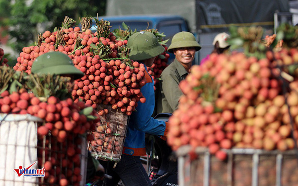 Chạy 'tuyến cao tốc' đến châu Âu, lo thổi phạt thẻ vàng thẻ đỏ