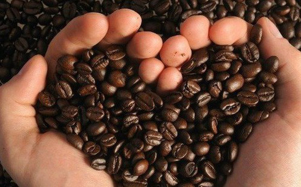 Đứng top 2 thế giới, thế mạnh Việt Nam gặp cú sụt mạnh