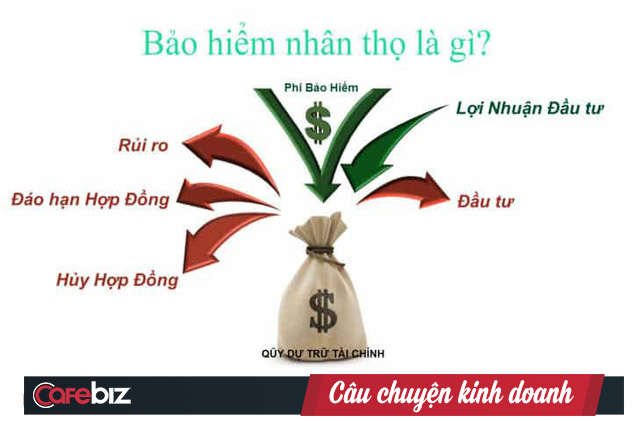 Nghe tiếp thị về Bảo hiểm nhân thọ ở khắp nơi nhưng bạn đã thực sự hiểu nguyên lý hoạt động cơ bản của loại hình tài chính này? (P.6) - Ảnh 2.