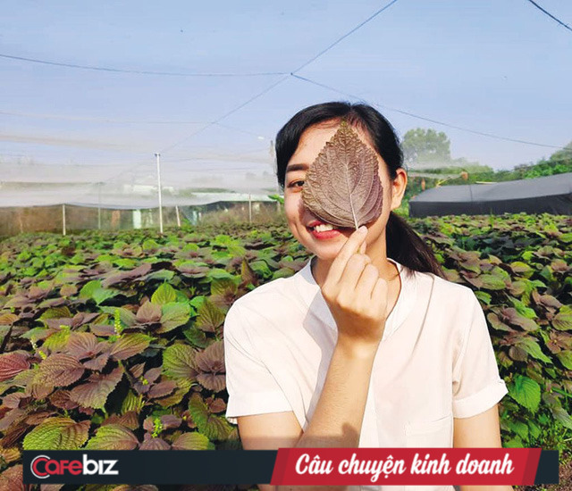 Founder Nguyễn Ngọc Hương kể về hành trình mang rau má Việt bán cho cả châu Âu: Chuẩn bị vùng trồng tốt, làm sản phẩm chất lượng thế giới và chờ thời cơ - Ảnh 2.