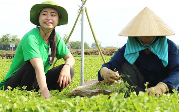 Founder Nguyễn Ngọc Hương kể về hành trình mang rau má Việt bán cho cả châu Âu: Chuẩn bị vùng trồng tốt, làm sản phẩm chất lượng thế giới và chờ thời cơ