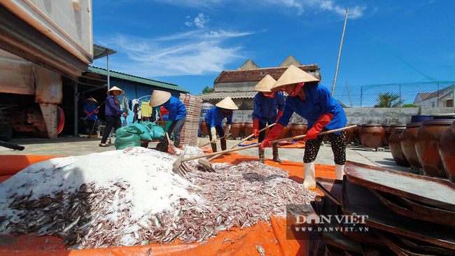 &quot;Bóng hồng&quot; quyền lực nông dân Việt Nam xuất sắc 2020: Những cái tên vàng trong làng nuôi trồng cây con đặc sản - Ảnh 3.