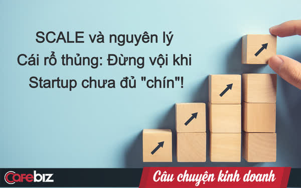 3 cái bẫy “chiếc rổ thủng” hại chết các startup khi scale-up: Làm sao để biết một startup đã đủ “chín” để mở rộng quy mô?