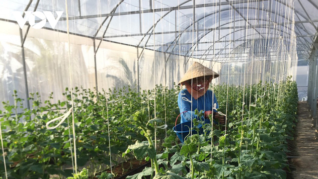 Thanh niên 9X thu tiền tỷ từ mô hình nông nghiệp sạch - Ảnh 1. Thanh niên 9X thu tiền tỷ từ mô hình nông nghiệp sạch - Ảnh 1.