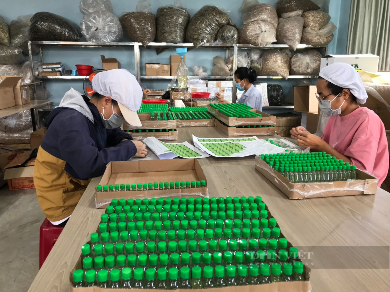 Khánh Hòa: Nhóm trẻ 9X làm mô hình The Moshav Farm doanh thu khoảng 800 triệu đồng/tháng - Ảnh 2.