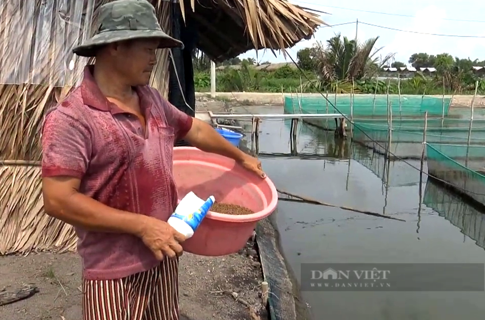 TP.HCM: Trị được con nước độc, anh nông dân nuôi cá cảnh thu tiền tỷ mỗi năm - Ảnh 4.