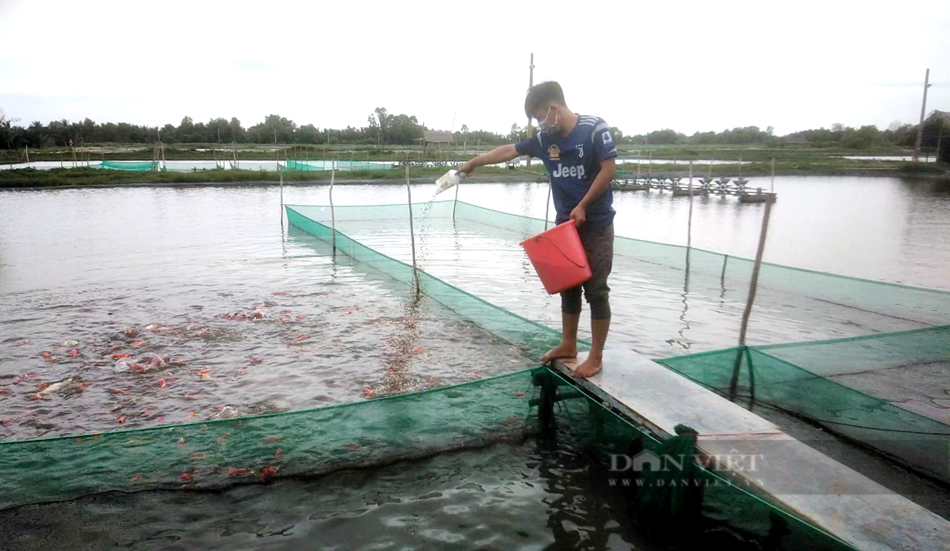 TP.HCM: Trị được con nước độc, anh nông dân nuôi cá cảnh thu tiền tỷ mỗi năm - Ảnh 1.