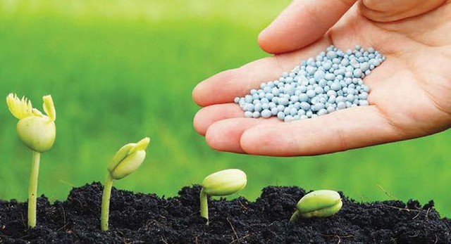Lý giải câu chuyện lợi nhuận khủng của doanh nghiệp phân đạm, lợi nhuận hợp nhất quý I/2022 tăng gấp gần 10 lần cùng kỳ. - Ảnh 2. Lý giải câu chuyện lợi nhuận khủng của doanh nghiệp phân đạm, lợi nhuận hợp nhất quý I/2022 tăng gấp gần 10 lần cùng kỳ. - Ảnh 2.