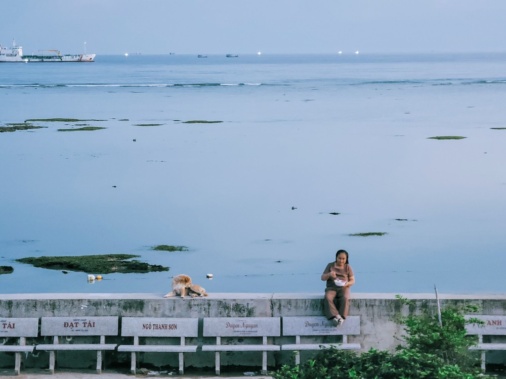 Về quê tránh dịch, 9X quyết định ở lại đảo Phú Quý chụp ảnh làng chài, mỗi tháng có gần trăm khách - Ảnh 2.