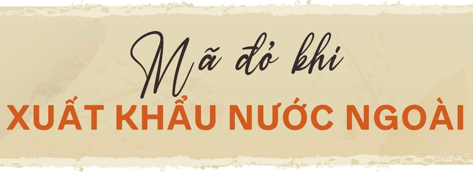 Những bông hoa ở Maypaperflower: Chuyến du lịch về làng nghề 300 tuổi xứ Huế và quyết định startup làm hoa giấy thủ công xuất khẩu của cựu nhân viên ngân hàng- Ảnh 6. Những bông hoa ở Maypaperflower: Chuyến du lịch về làng nghề 300 tuổi xứ Huế và quyết định startup làm hoa giấy thủ công xuất khẩu của cựu nhân viên ngân hàng- Ảnh 6.