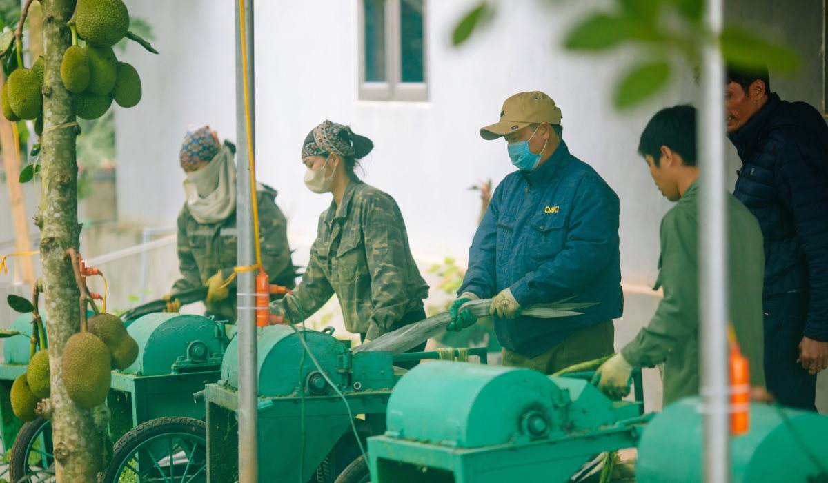 Startup sợi lá dứa của nữ giảng viên chinh phục dàn cá mập Shark Tank mùa 5 giờ ra sao: Nên duyên với 2 cá mập ngoài bể, doanh thu tăng hàng chục lần, xuất khẩu tới Nhật, Mỹ, Châu Âu…- Ảnh 4. Startup sợi lá dứa của nữ giảng viên chinh phục dàn cá mập Shark Tank mùa 5 giờ ra sao: Nên duyên với 2 cá mập ngoài bể, doanh thu tăng hàng chục lần, xuất khẩu tới Nhật, Mỹ, Châu Âu…- Ảnh 4.